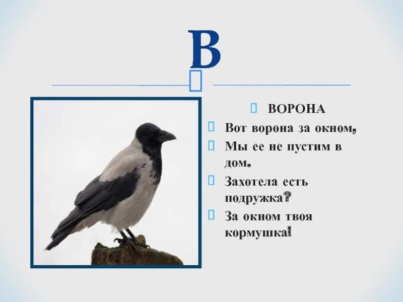 Сочинить стих про ворону. Стихотворение про ворону. стихи о вороне. загадка о вороне. стих про ворону для детей.