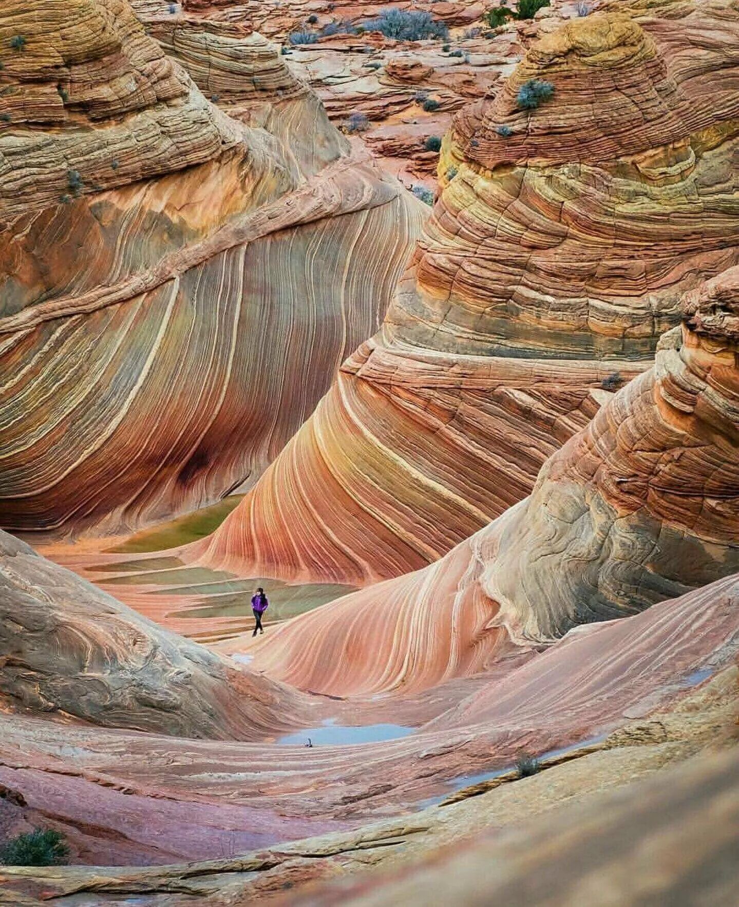Невероятный цвет. Каньон Аризонская волна. Каньон антилопы Аризонская волна. Волна каньон штат Юта. Скалы волна штат Аризона.