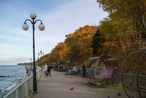 Светлогорск калининградская область погода в ноябре