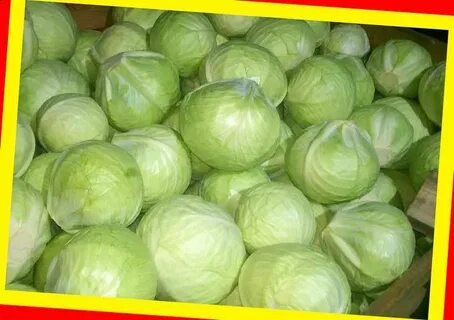 Продать капусту оптом