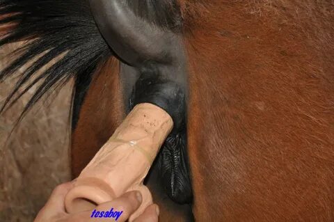 Mare Gives Blowjob.