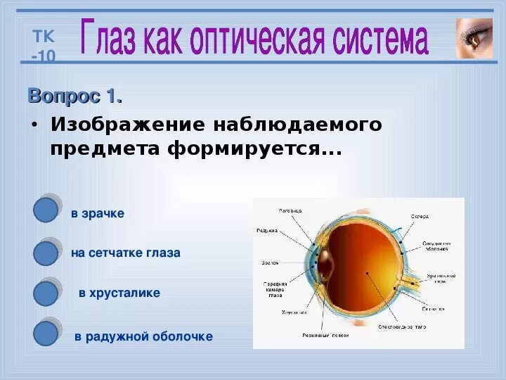 Тест по теме зрение. Оптическая система глаза 8 класс. Устройство глаза как оптической системы. Глаз как оптическая система физика. Глаз как оптическая система рисунок.