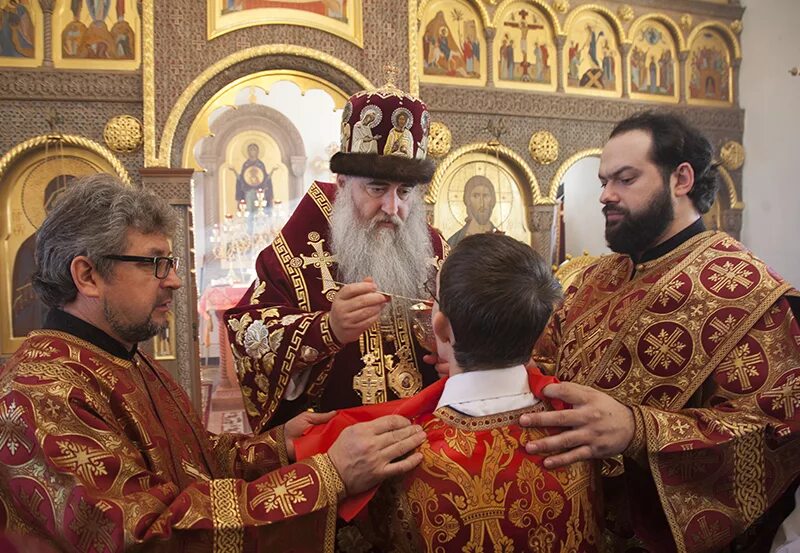 Косма рыбушкинский. Священномученик косма петриченко саратовский. Косма рябушинский священномученик рябушинский. Священник димитрий зимин саратов. Косма саратовский.