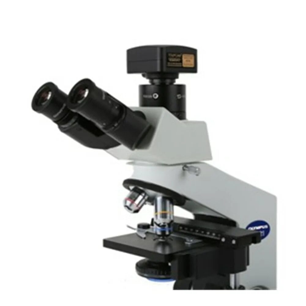 Microscope camera