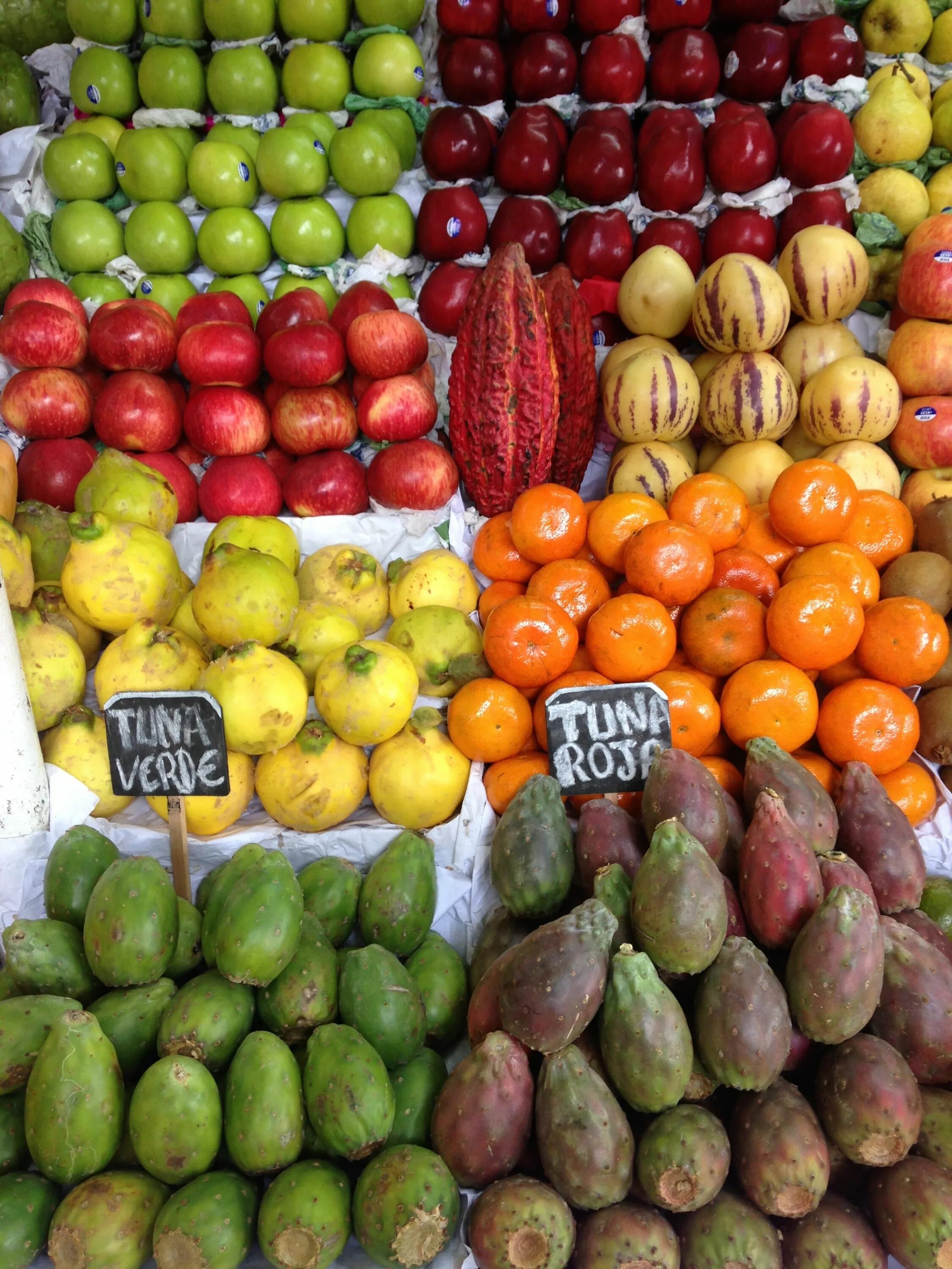 Включи fruits