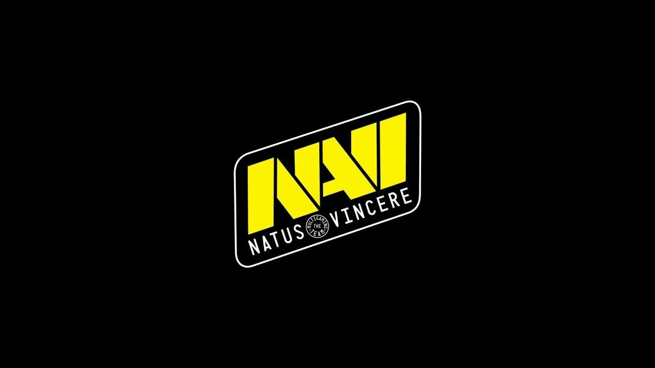 Natus vincere pain gaming. Navi. Нави лого. Новое лого нави. Баннер нави.