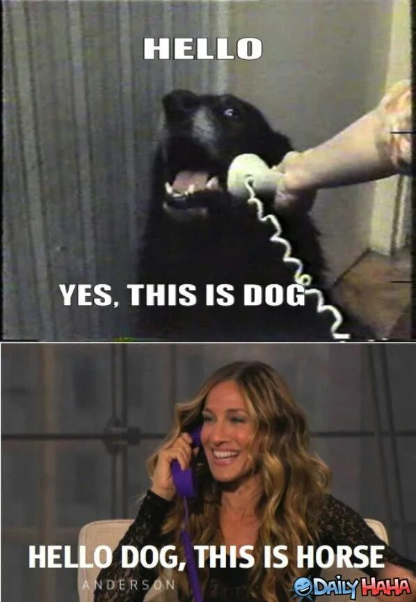 Hello this is Dog. Yes this is Dog. Hello Yes this is Dog. Dog Yes! Yes! Yes! Мем.