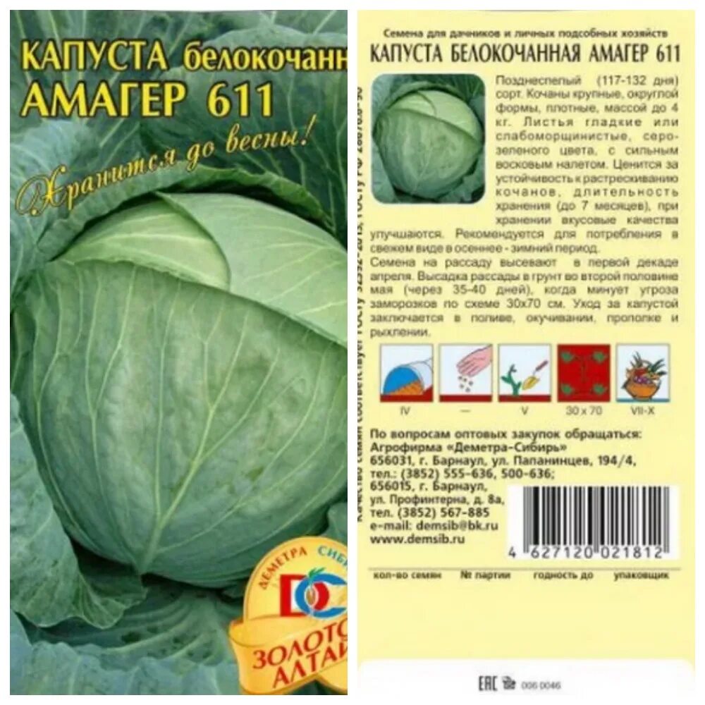 Капуста сорт амагер отзывы. Сорт капусты амагер. капуста амагер схема посадки. капуста белокочанная землячка семена.
