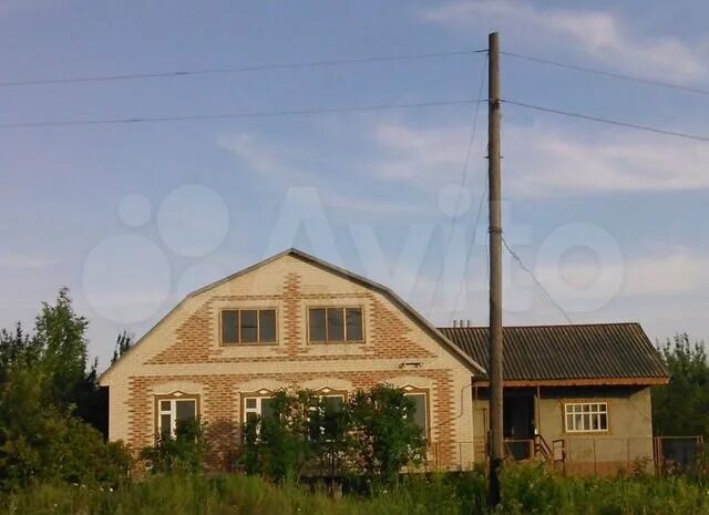 Россошанский р-н с. Митрофановка. Авито митрофановка кантемировский. Авито митрофановка кантемировский. Талы.