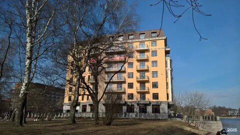Проспект динамо 3 городская больница