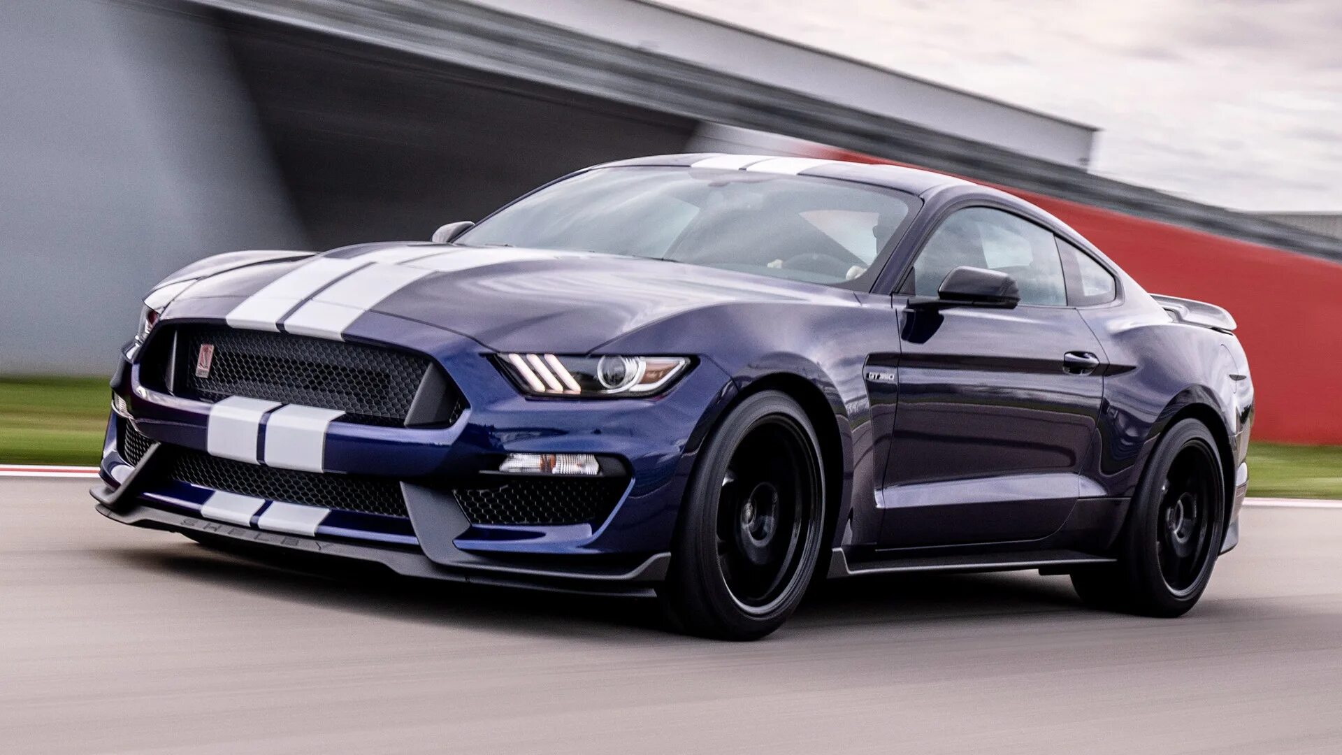 Ford mustang shelby gt350 2019. Форд мустанг гт 2016. Форд мустанг 2017. Форд мустанг gt 2016. Ford shelby gt350r 2016.