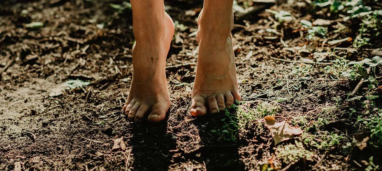 Покрыли ей ноженьки босы. Покрыли ей ноженьки босы. Босые ноги женщин. Покрыли ей ноженьки босы. Зеленые ступни в траве.