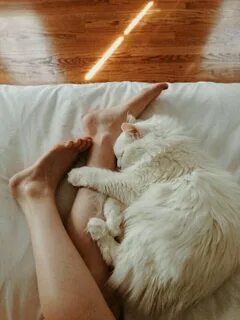 Постель хозяйки