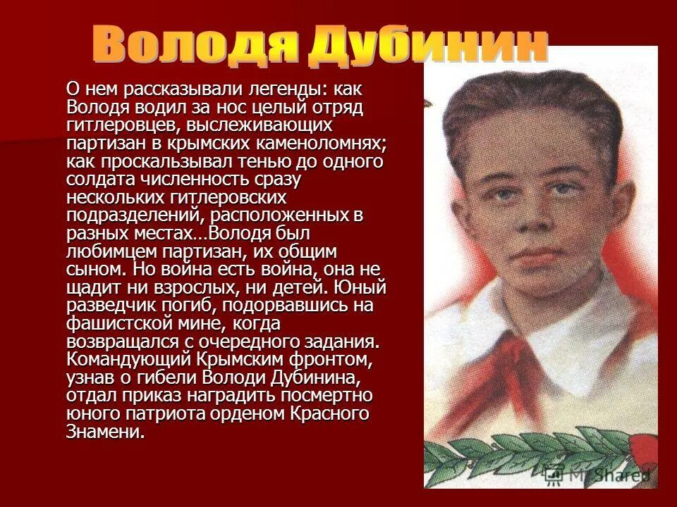В каком возрасте володя научился читать. Дети герои вов володя дубинин. владимир дубинин пионер герой подвиг. пионеры герои володя. герои войны пионеры володя дубинин.