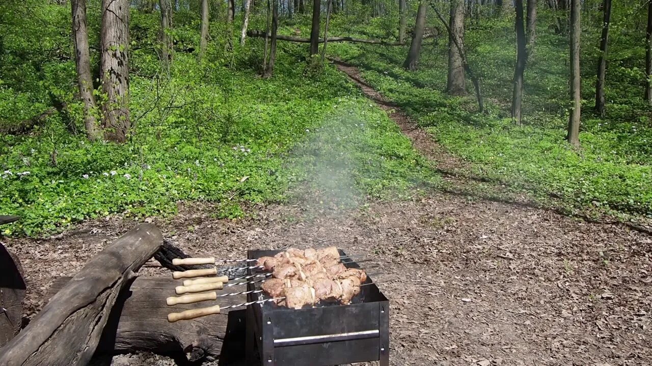 Шашлыки в лесу. Шашлычок в лесу. Мангал в лесу. Мангал в лесах. Можно ли жарить шашлык в лесу