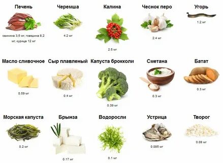 Продукты с высоким содержанием витамина а