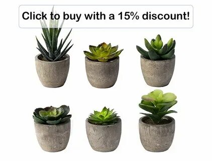 Mini plant