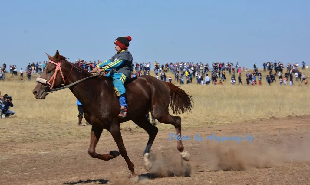 Байга Казахстан. Конный спорт байга. Байга скачки. Казахские скачки. Ат бала