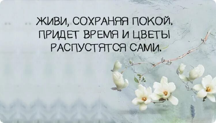 Времени жил спокойной и. Афоризмы про весну. Придет время и цветы распустятся сами. Китайские пословицы.