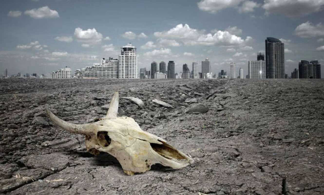 Исчезновение видов животных. Природа и человек в современном мире. Нил засуха. Земля без животных. Опустынивание земель в россии.