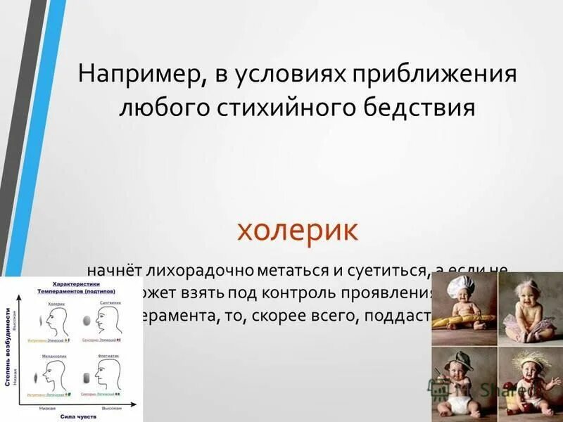 14 характеристика человека