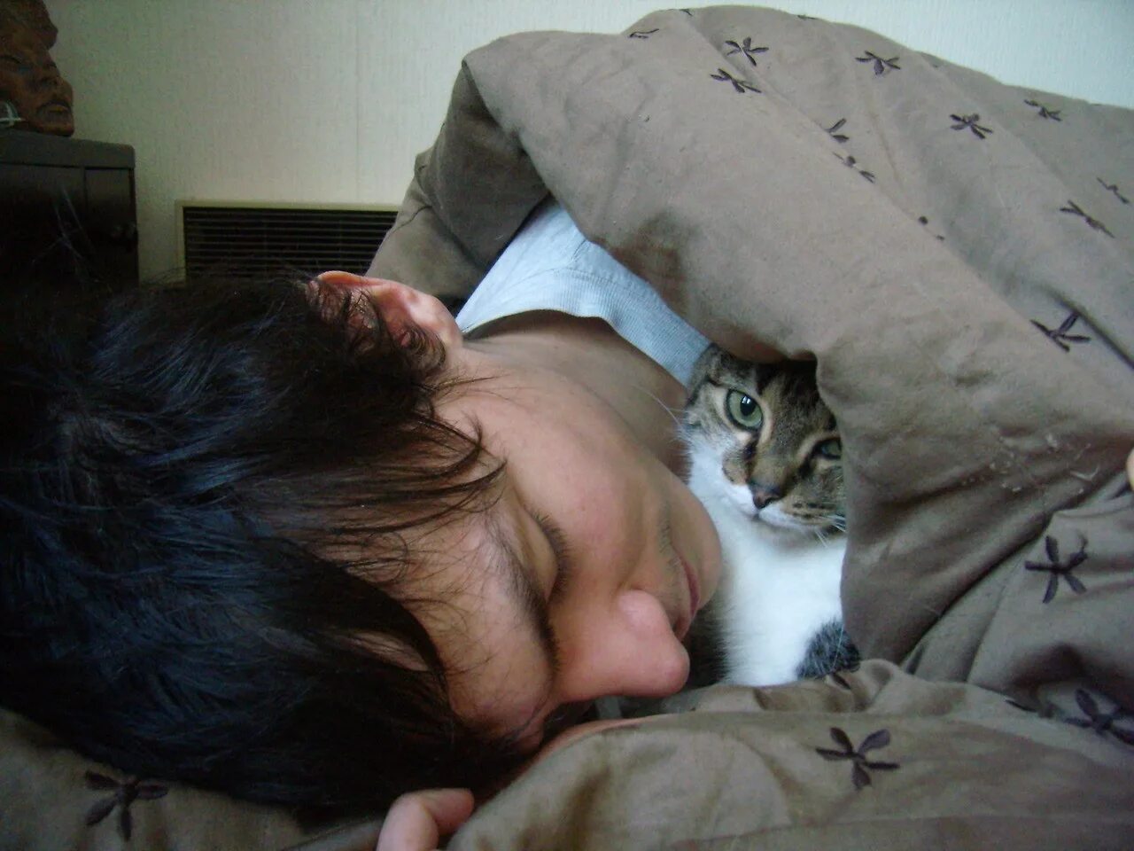 дети спят на полу. климактерические нарушения сна. уснул на горшке приколы. уснул в смешной позе. бессонница.