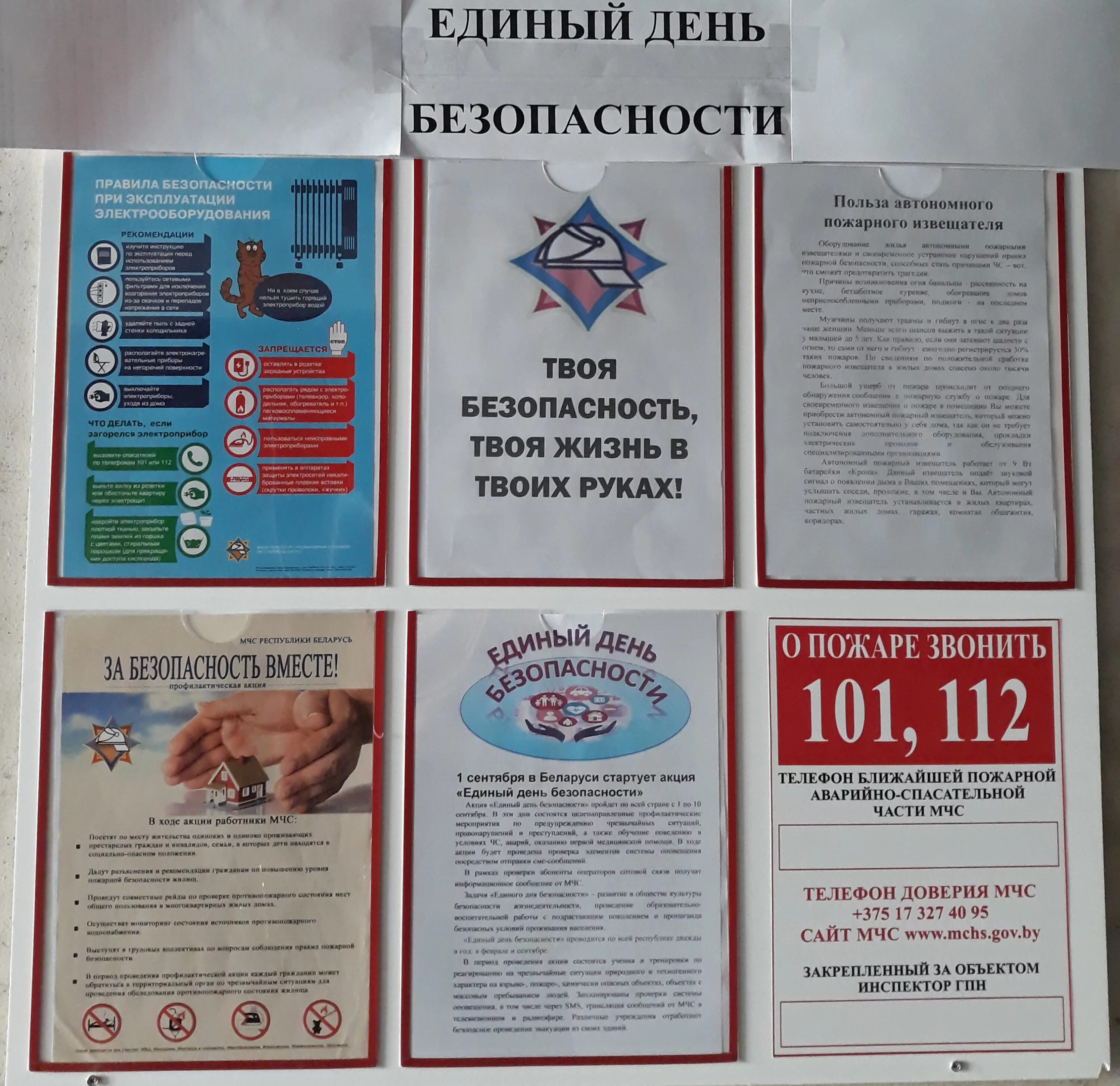 Единый день безопасности картинки. Единый урок безопасности в сети тест. Тест единого дня. Тест единого дня. Тест единого дня.