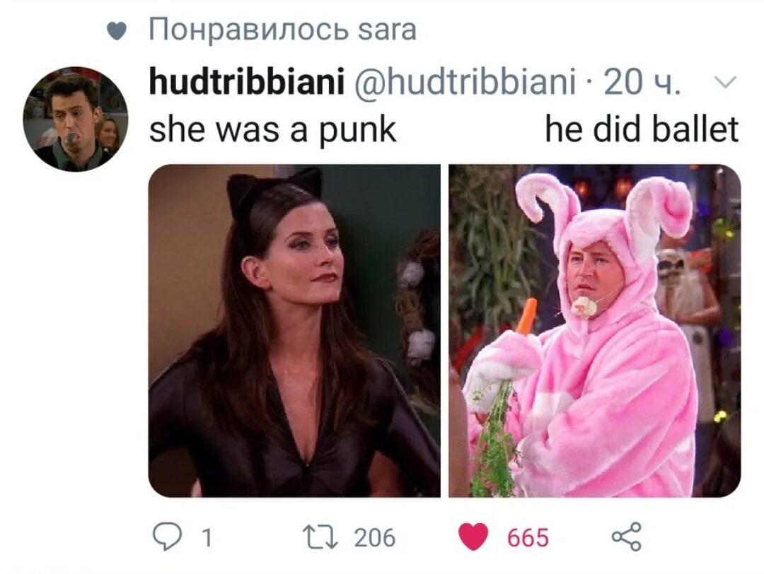 Цыпленок панк. He was a punk she did ballet мем. She did ballet. He was a punk she did ballet. Он был панком а она любила балет мем.