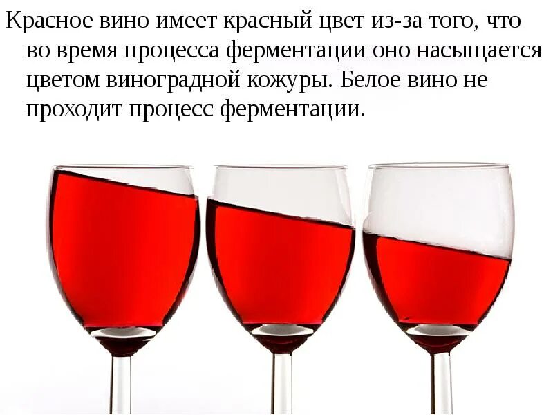 Зачем пить вино. Факты про вино. Интересное про вино. Интересные факты о вине. Цвет красное вино.