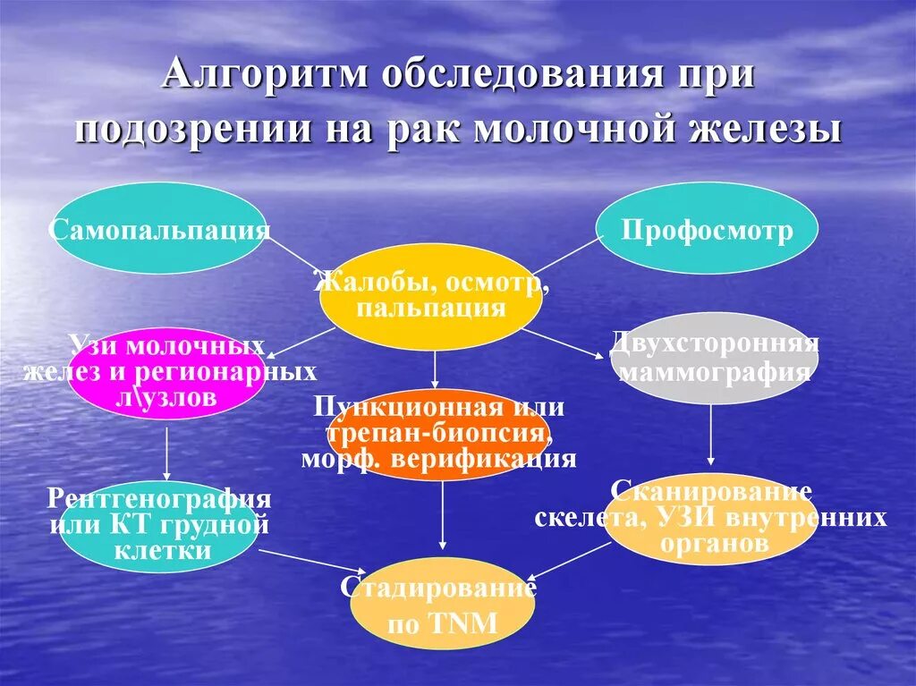 Осмотр молочных желез алгоритм. Методика исследования молочной железы алгоритм. алгоритм осмотра на онкологию. осмотр молочных желез алгоритм в онкологии.