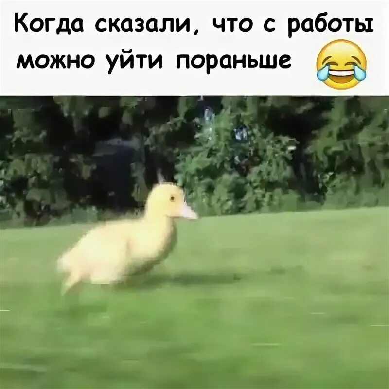 Можно уйти пораньше