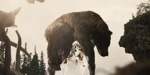 Хищные 5