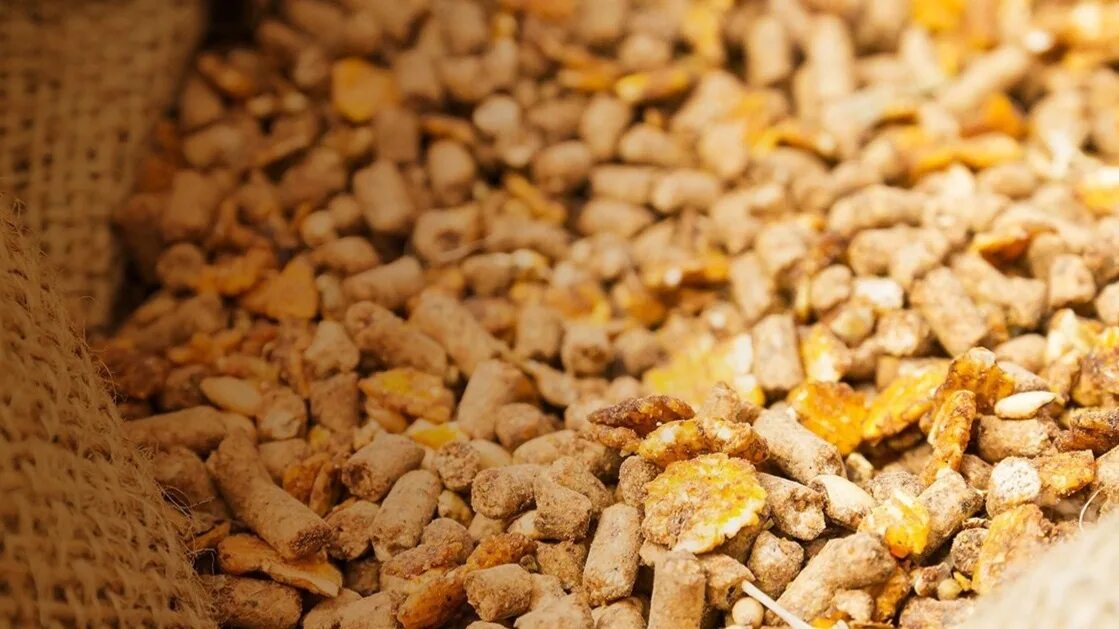 Корма и кормовые добавки для животных. Корма для скота. комбикормах для сельскохозяйственных. кормовые добавки. корм для коров.