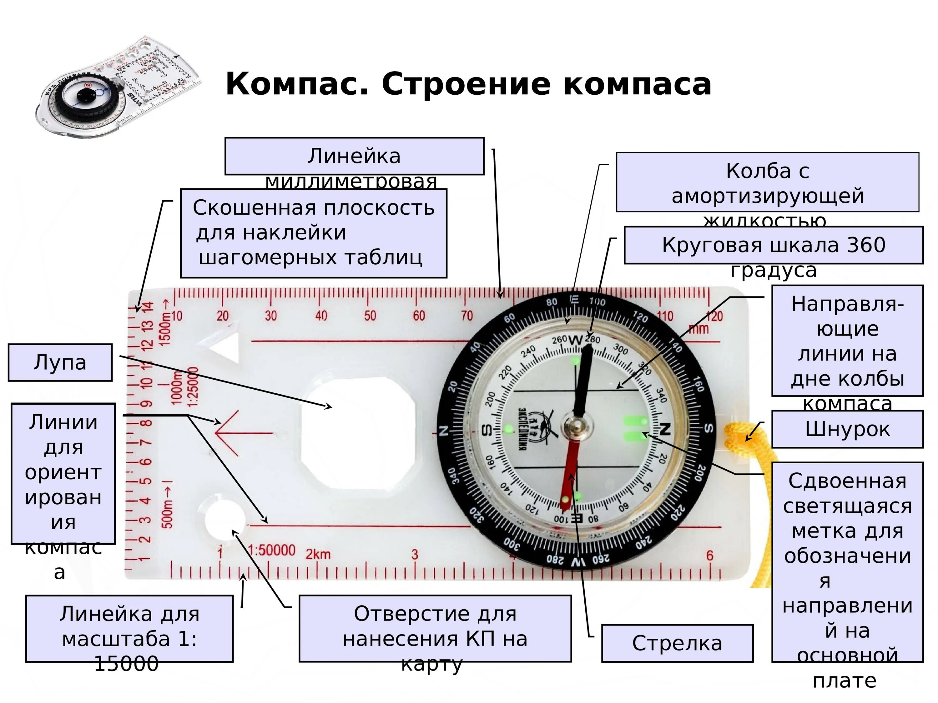 Компас в какую сторону. Строение современного компаса. жидкостный компас строение. компас строение компаса. компас презентация.