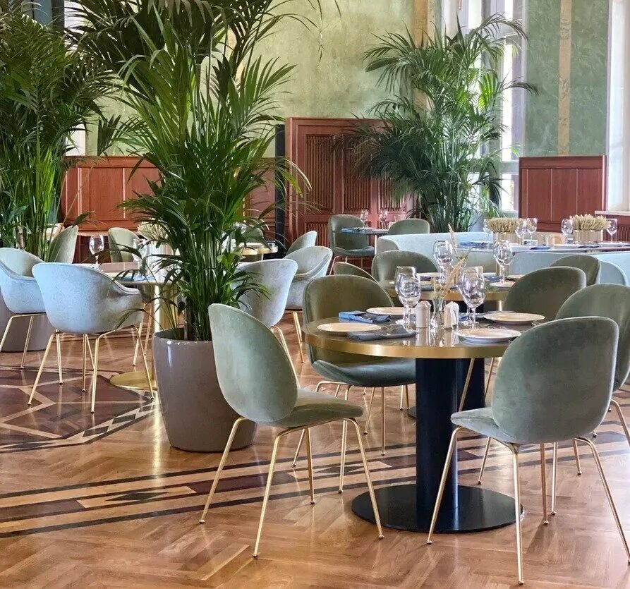 Волга-волга ресторан на речном вокзале. Волга волга речной вокзал. Ленинградское шоссе 51 волга волга. Волга волга ленинградское ш 51 москва. Ресторан на северном речном вокзале москва.