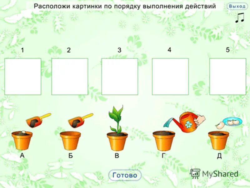 Определите последовательность развития растения. Расположи картинки по порядку. Расположи картинки в правильном порядке. Окружающий мир последовательность. Установи последовательность развития растения в картинках.
