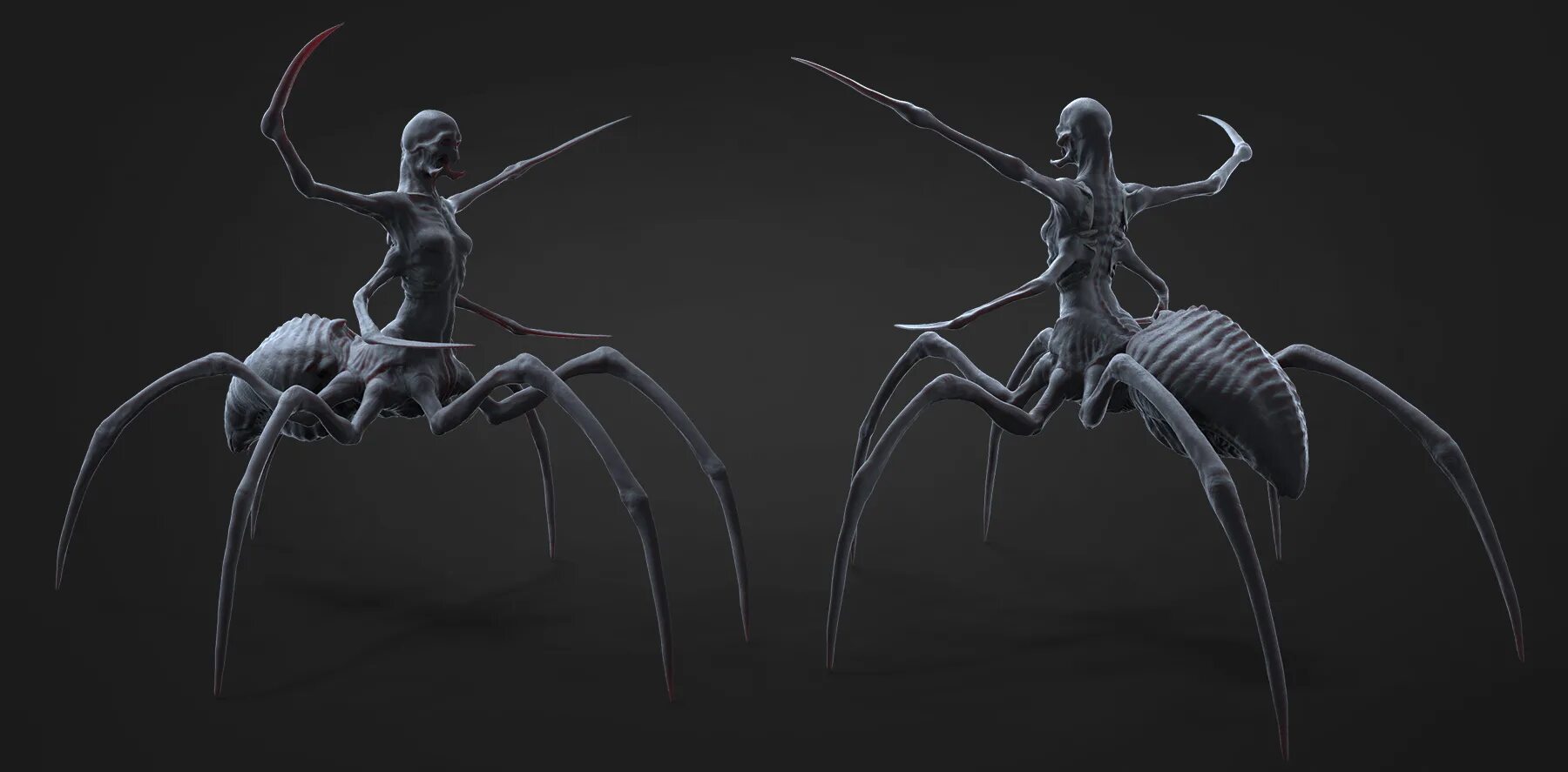 Безымянный паук. Восьмилапый желтополос. Безымянный паук. Паук арт. Паук крестовик большой.