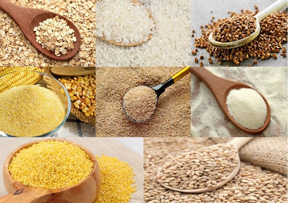 Какие бывают крупы. Разные крупы. Крупы. Виды круп. Зерновые крупы.