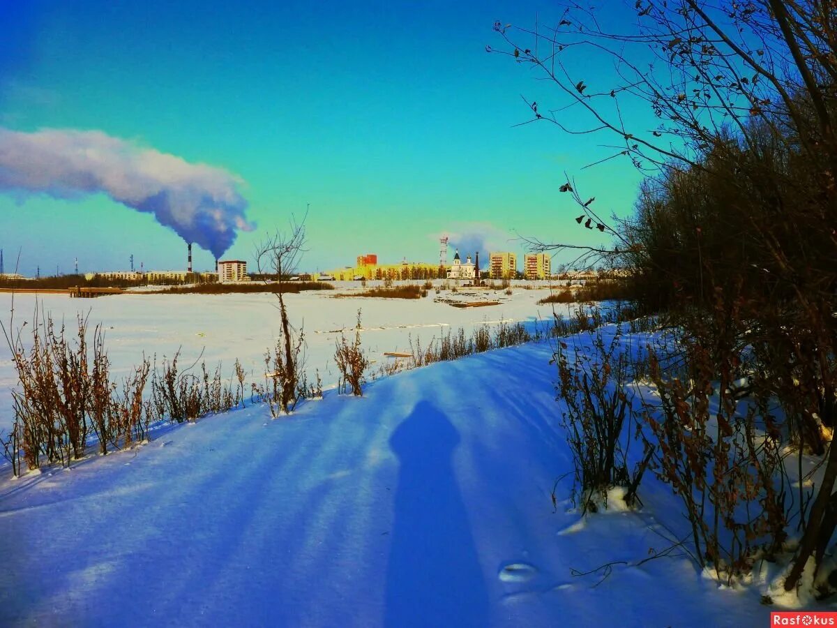 Морозное утро. Морозное утро Нефтеюганск. Морозное утро Воронеж. Золотой берег в Кемерово зимой.