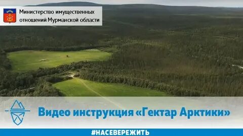 Арктический гектар мурманская область