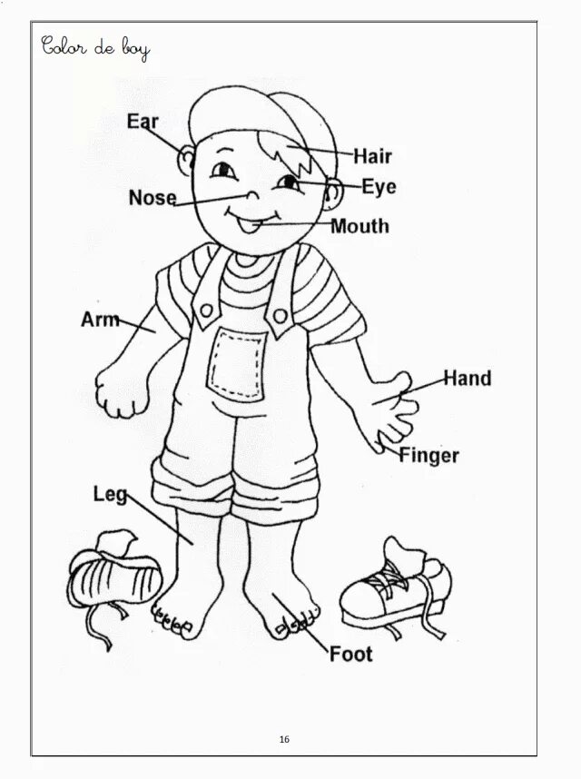 Coloring body parts. Coloring body parts. Coloring body parts. Раскраска на английском для детей. Coloring body parts.