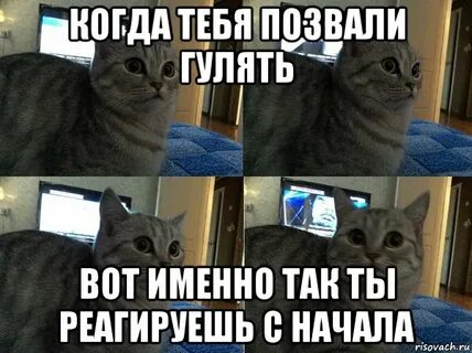 Нет я буду гулять