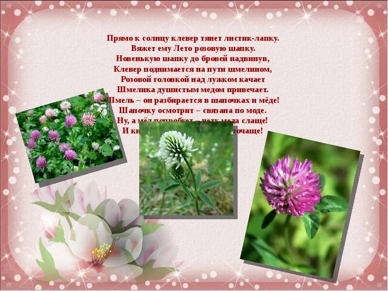 Стихи про трилистник. Букет клевера. Четверостишие про клевер. Сообщение о растении клевер. Стихотворение про клевер.