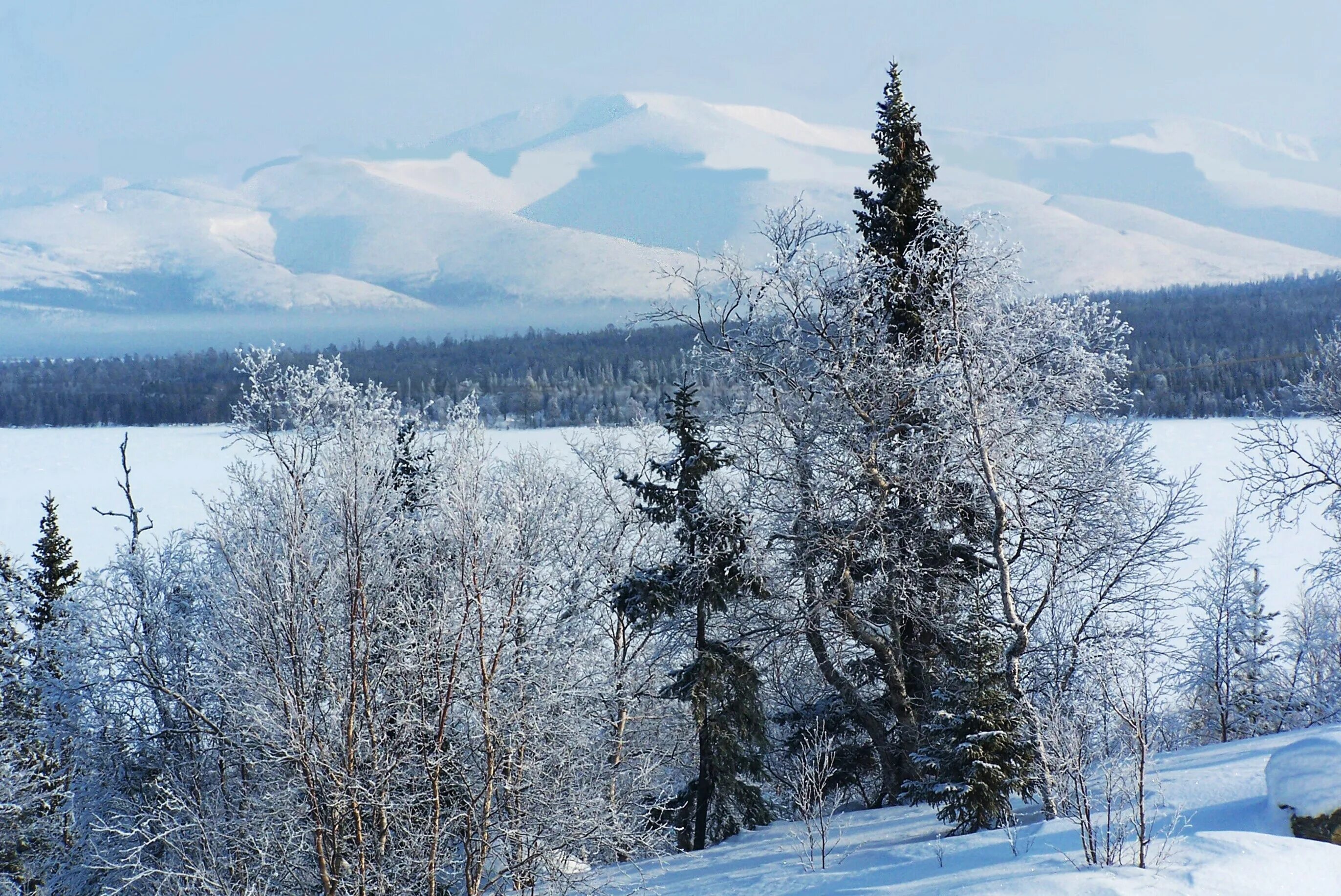 Красота Северного края. Мурманск красоты севера. Верхнетуломский зимой. Зеленник красоты севера.