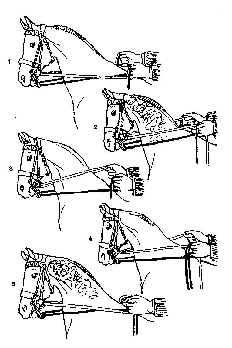 Лошади разбор. Разбор мундштучного повода. Уздечка для лошади сбоку. Мундштучное оголовье схема. Приспособления для управления лошадью.