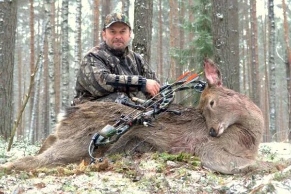 охота на лося на реву (с манком). охотники и утки. опытные охота. охоту с морком на рябчика. про охоту и охотников.