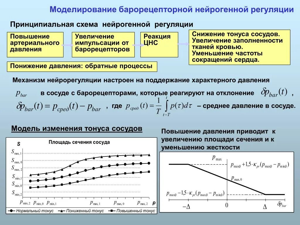 Снижение ад снижение импульсации от барорецепторов. Уменьшение частоты. Повышение ад импульсации от барорецепторов повышение тонуса ядер. Снижение импульсации от барорецепторов сосудов приводит к:.