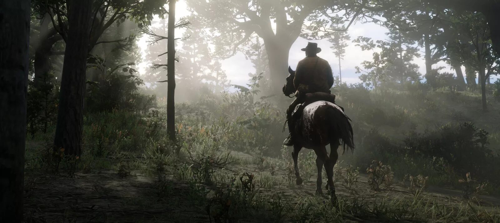 Red dead redemption 2 directx. Red dead redemption 2 forest. дикий запад red dead redemption 2. red dead redemption 2 летательный аппарат. red dead redemption 2 burned forest.