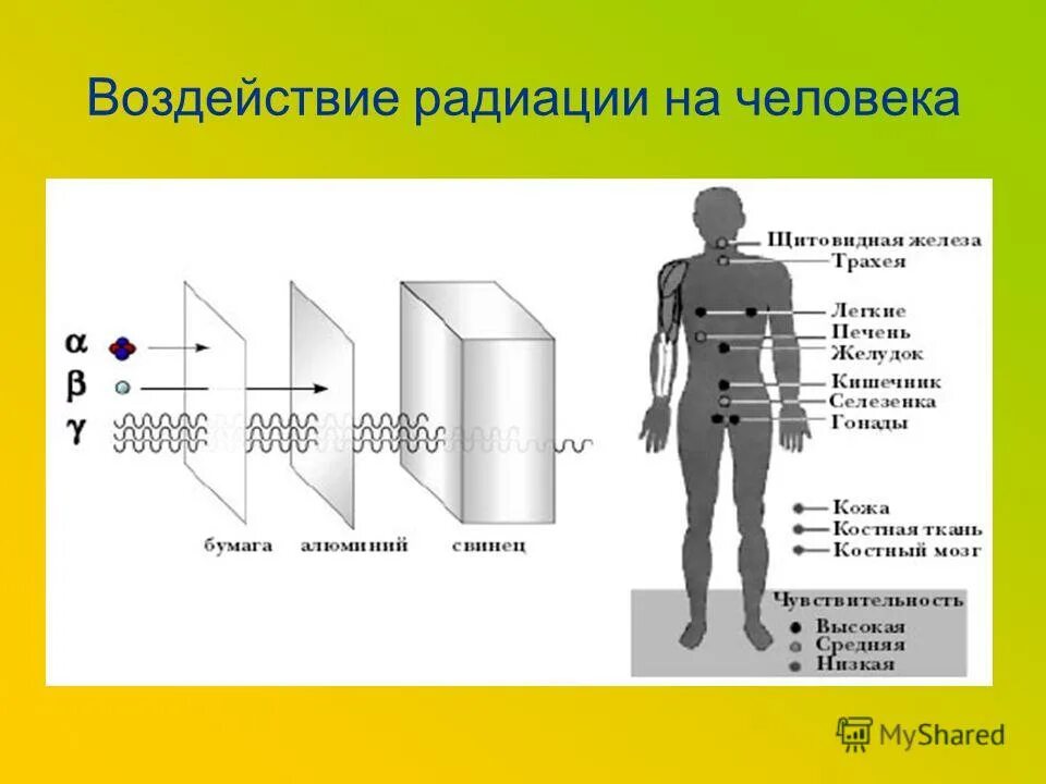 Воздействие радиационного излучения на организм человека. Влияние излучения на человека. Люди с радиоактивным излучением. Влияние радиоактивного излучения на человека. Действие радиации презентация