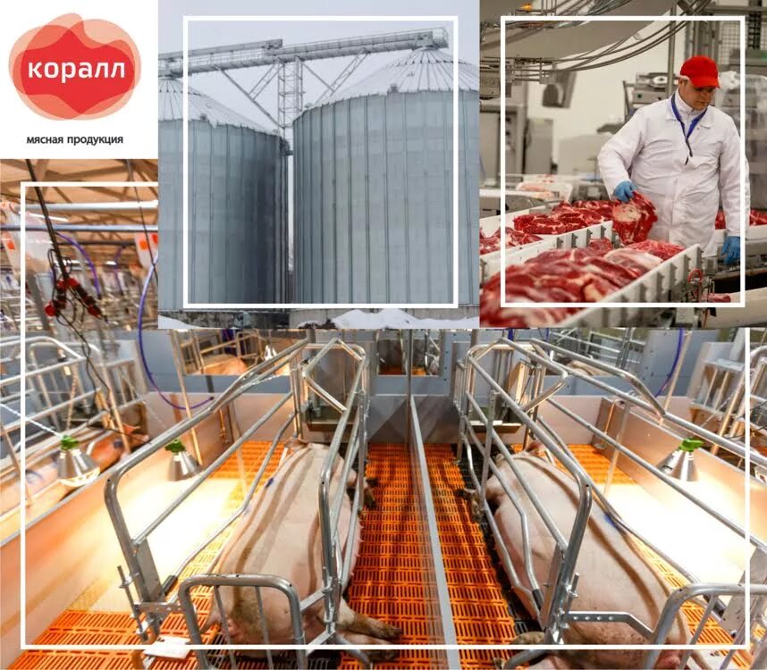 Коралл бежецк мясоперерабатывающий. Коралл бежецк вакансии. Коралл арена бежецк. Бежецкий мясокомбинат коралл. Коралл бежецк мясоперерабатывающий.